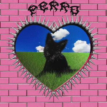Perro