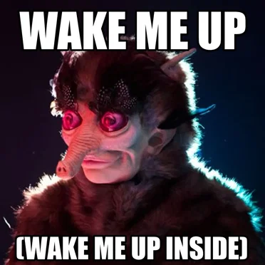 Wake Me Up at Midnight