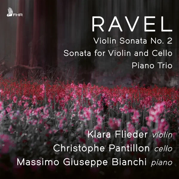 Violin Sonata no. 2 / Sonata for Violin and Cello / Piano Trio