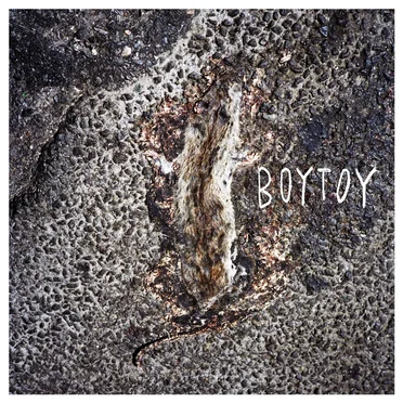 Boytoy by Boytoy - album cover