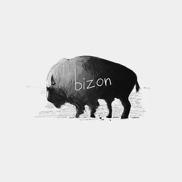 Bizon by Feyyaz Yiğit - album cover