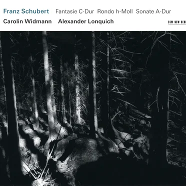 Fantasie C-Dur / Rondo h-Moll / Sonate A-Dur