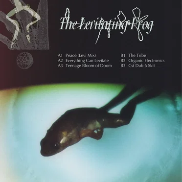 The Levitating Frog I