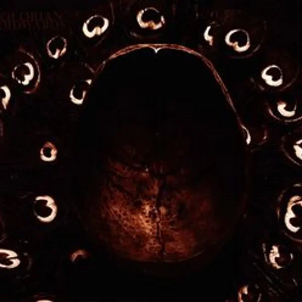 Voidwards