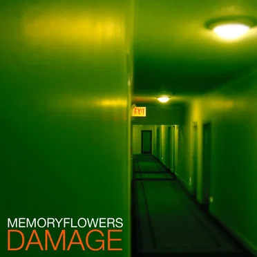 Damage