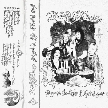Beyond the Sight of Mortal Eyes by Runaway Devils - album cover