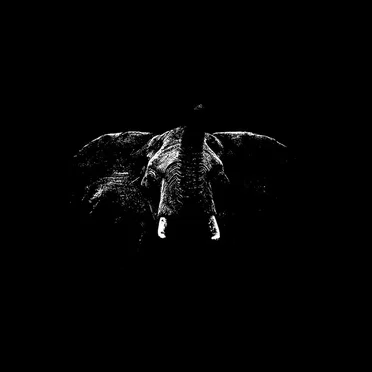 The Elefant Collective