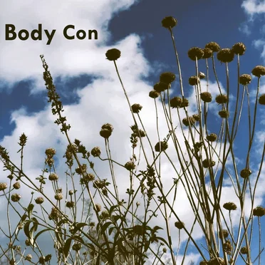 Dawn of the Black Shirts by body con - album cover