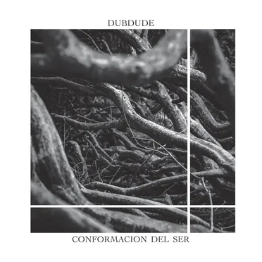Conformacion Del Ser by DubDude - album cover