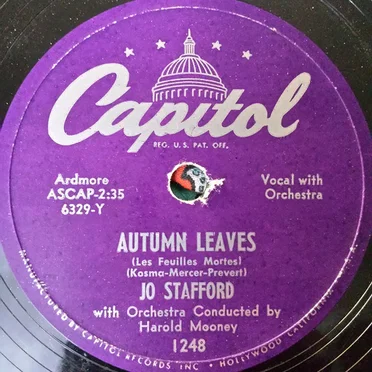 Autumn Leaves / Autumn in New York