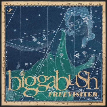 BiggaBush Freevisited