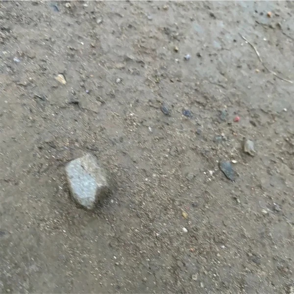 VS己