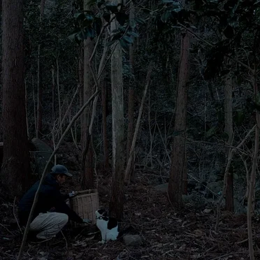 Izu Ambiento 031