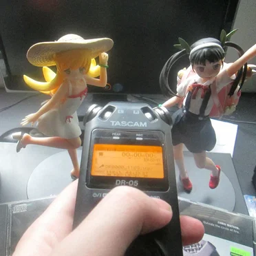 Macro Bedroom Fields