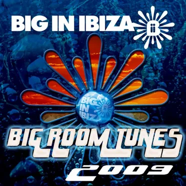 Big Room Tunes 2009 by Various Artists - album cover