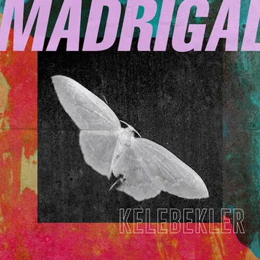 Kelebekler by Madrigal - album cover