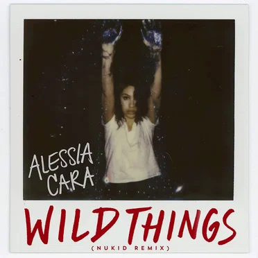 Wild Things (NuKid remix)