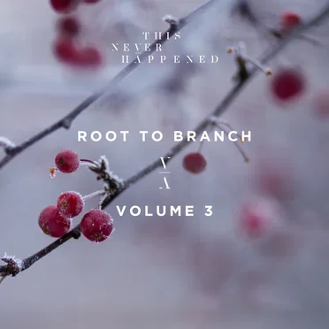 Root to Branch, Vol. 3 by Various Artists - album cover