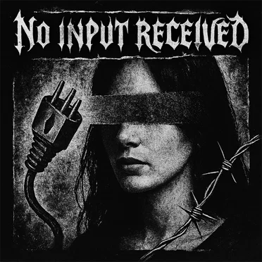 No Input Received