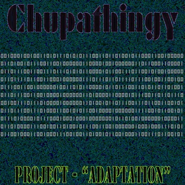 Project Adaptation