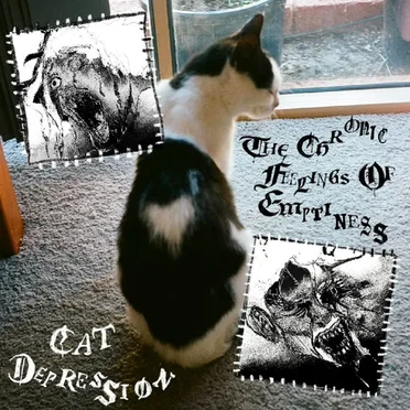Cat Depression by The Chronic Feelings of Emptiness - album cover