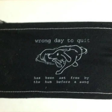 Has Been Set Free By The Hum Before A Song by Wrong Day To Quit - album cover