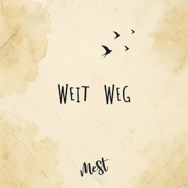 MeSt