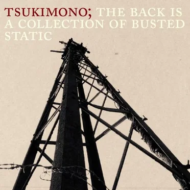 The Back Is a Collection of Busted Static by Tsukimono - album cover