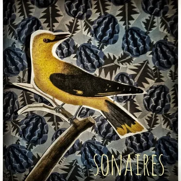Sonaires by Sonaires - album cover
