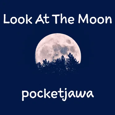Look At The Moon