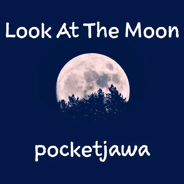 Look At The Moon