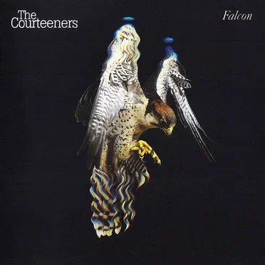 Falcon