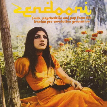 Zendooni: Funk, Psychedelia and Pop from the Iranian Pre-Revolution Generation by Various Artists - album cover