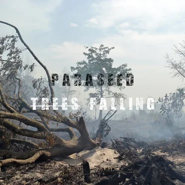 Trees Falling by Paraseed - album cover