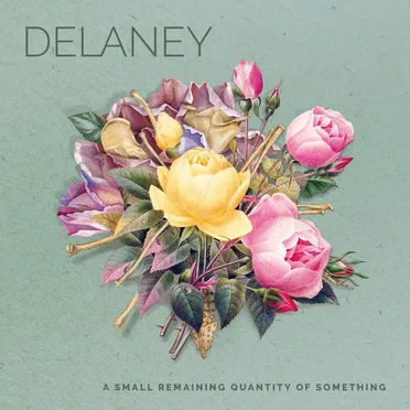 A Small Remaining Quantity of Something by Delaney - album cover