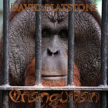 Orangutan