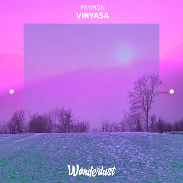Vinyasa by Paymon - album cover