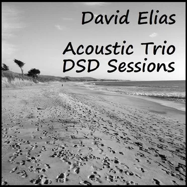 Acoustic Trio - DSD Sessions by David Elias - album cover