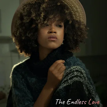 The Endless Love by Alvah Heidenreich - album cover
