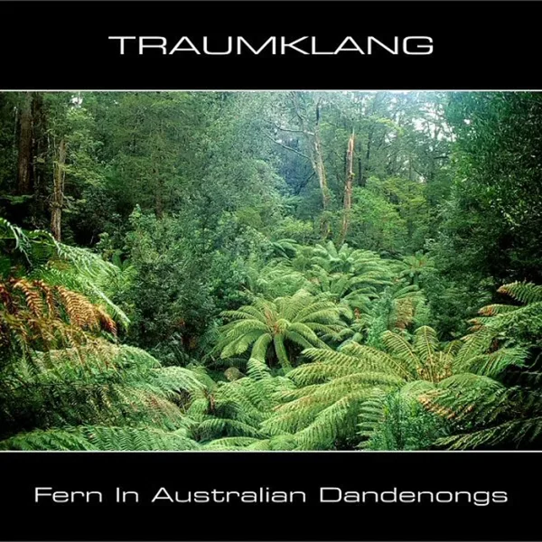 Fern in Australian Dandenongs