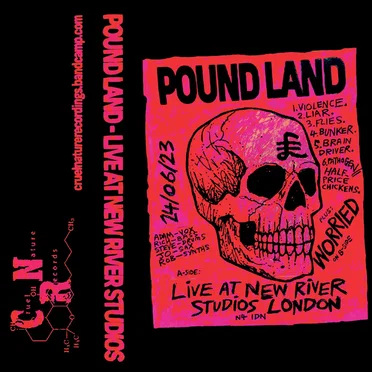 Live at New River Studios / Worried
