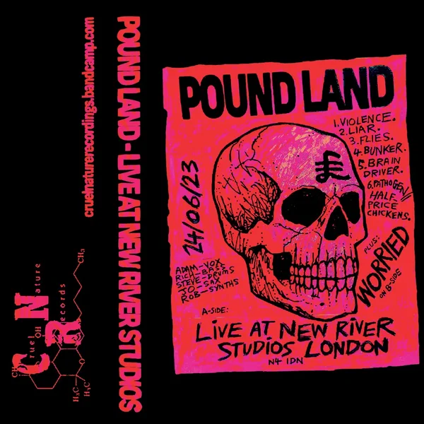 Live at New River Studios / Worried