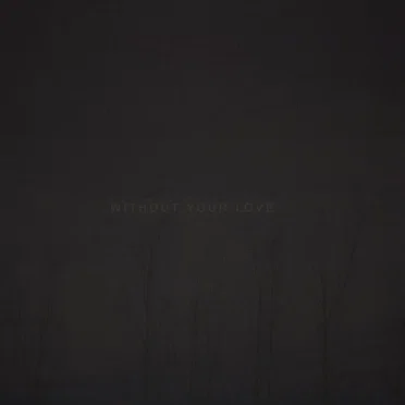 Without Your Love