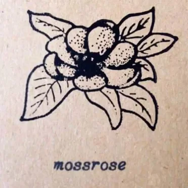 Moss Rose by Moss Rose - album cover