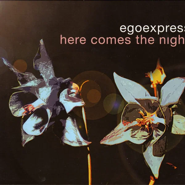 Here Comes the Night