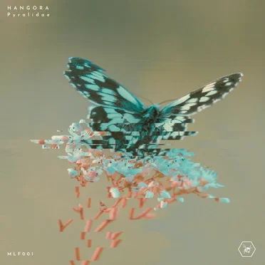 Pyralidae by Hangora - album cover