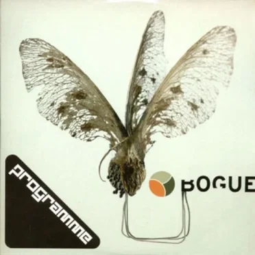 Bogue