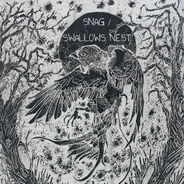 Snag / Swallows Nest split