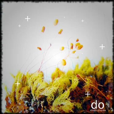 DO