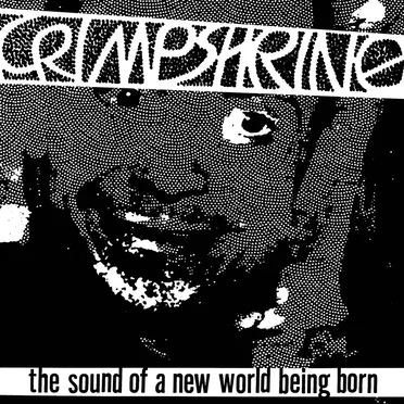 The Sound of a New World Being Born by Crimpshrine - album cover